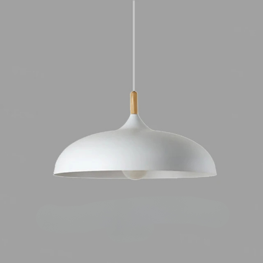 Oak and Iron Ceiling Light with Adjustable LED Pendant