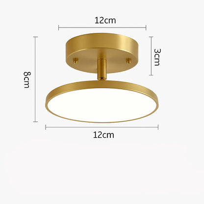 Halia Modern Black LED Ceiling Light – Rotatable Design for Versatile Illumination