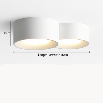 Ilyra Modern LED Ceiling Light – Minimalist Design for Targeted Illumination