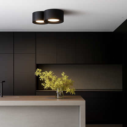 Ilyra Modern LED Ceiling Light – Minimalist Design for Targeted Illumination