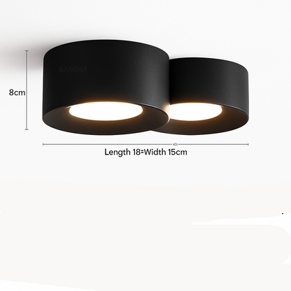 Ilyra Modern LED Ceiling Light – Minimalist Design for Targeted Illumination