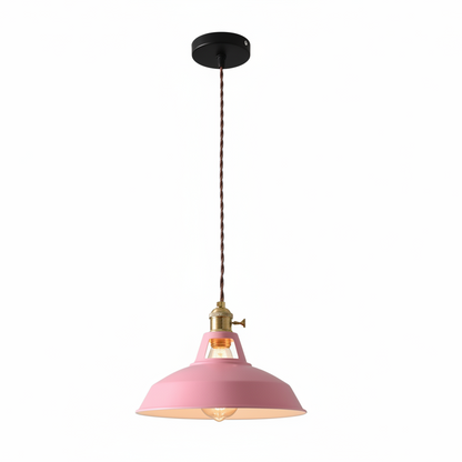 Ivey Pendant Lighting – Colorful Adjustable Barn Shade for Modern Interiors