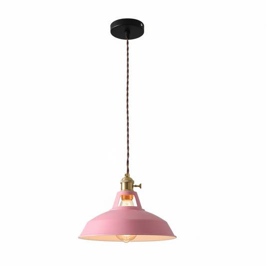 Ivey Pendant Lighting – Colorful Adjustable Barn Shade for Modern Interiors