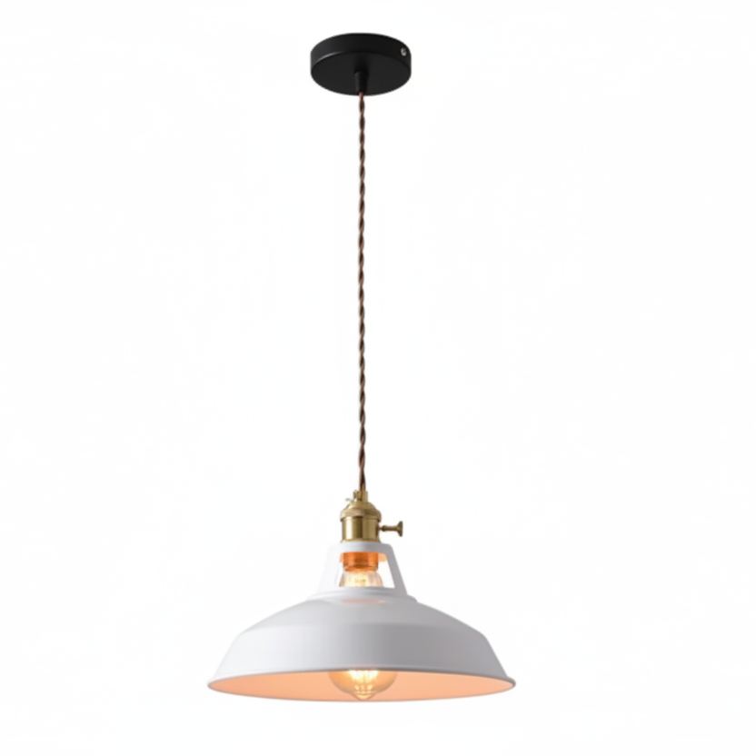 Ivey Pendant Lighting – Colorful Adjustable Barn Shade for Modern Interiors