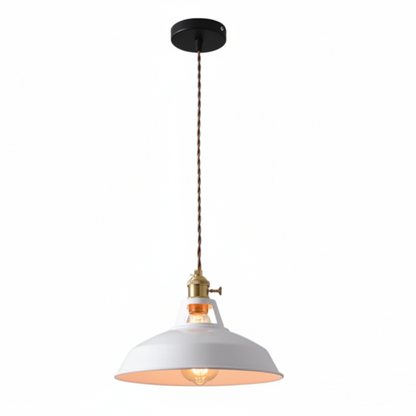 Ivey Pendant Lighting – Colorful Adjustable Barn Shade for Modern Interiors