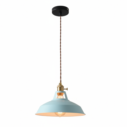 Ivey Pendant Lighting – Colorful Adjustable Barn Shade for Modern Interiors