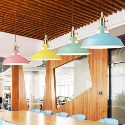 Ivey Pendant Lighting – Colorful Adjustable Barn Shade for Modern Interiors