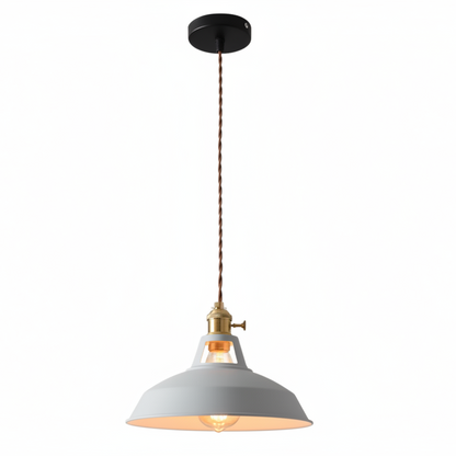 Ivey Pendant Lighting – Colorful Adjustable Barn Shade for Modern Interiors