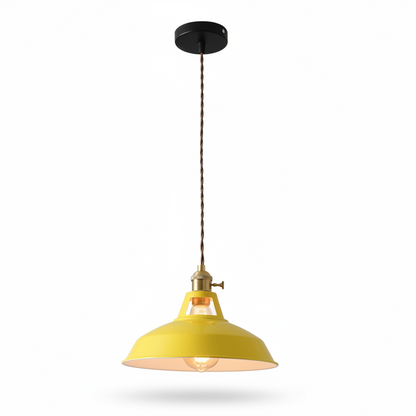 Ivey Pendant Lighting – Colorful Adjustable Barn Shade for Modern Interiors