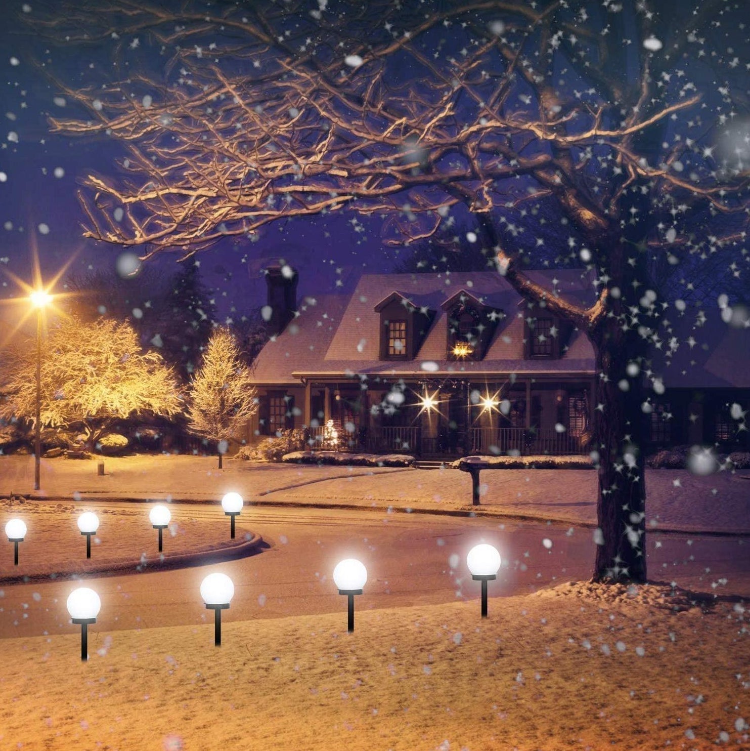 LunaGlow Outdoor Solar Garden Lights – Waterproof Globe Design for Pathways 1