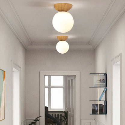 Ovalo Modern Minimalist Ceiling Light – Elegant Glass Iron Design for Stylish Interiors