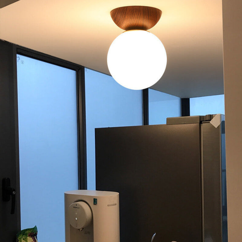 Ovalo Modern Minimalist Ceiling Light – Elegant Glass Iron Design for Stylish Interiors