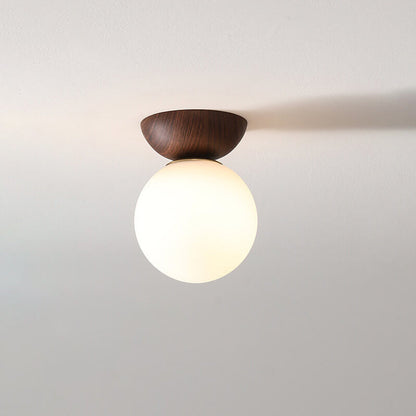 Ovalo Modern Minimalist Ceiling Light – Elegant Glass Iron Design for Stylish Interiors