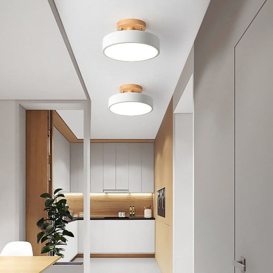 Skyla Modern LED Flush Mount Ceiling Light