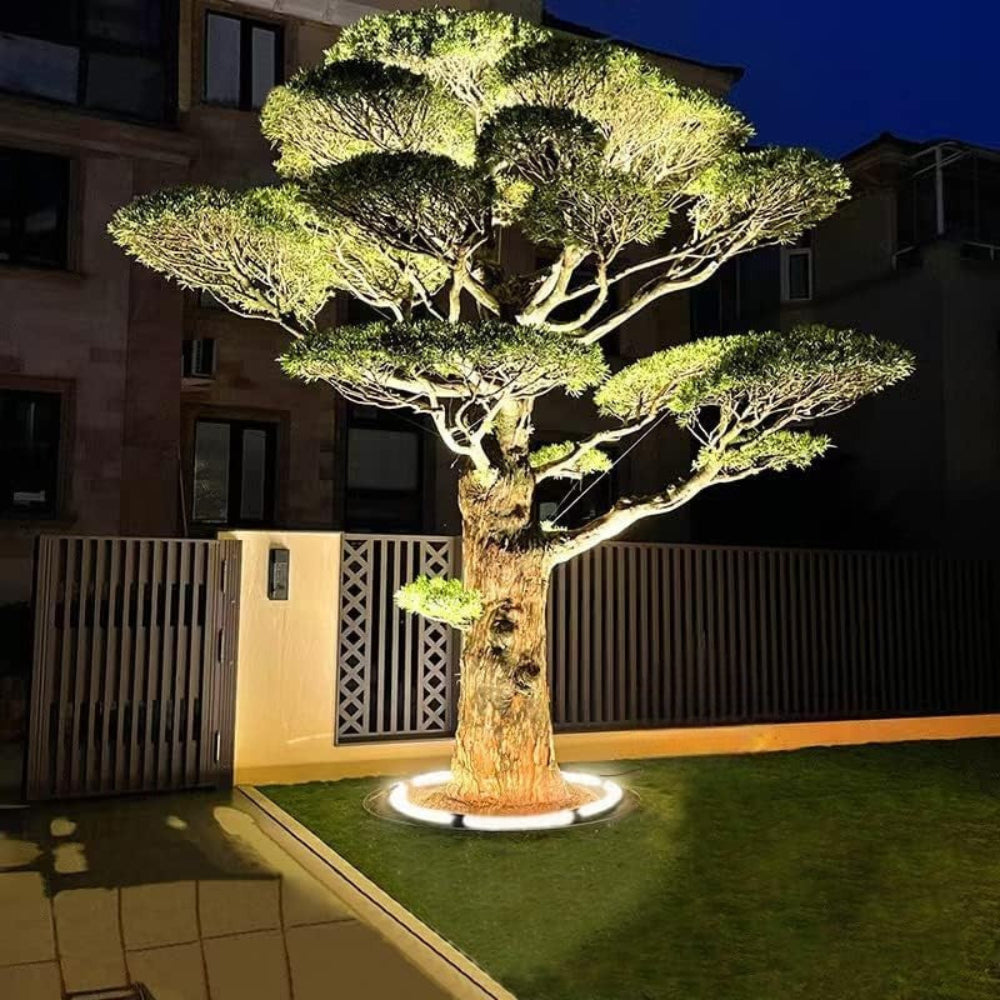 Evergreen Beam Outdoor LED Spotlight for Trees and Garden Lighting