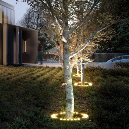 Evergreen Beam Outdoor LED Spotlight for Trees and Garden Lighting