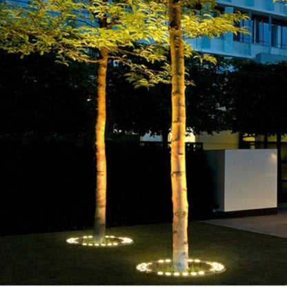 Evergreen Beam Outdoor LED Spotlight for Trees and Garden Lighting