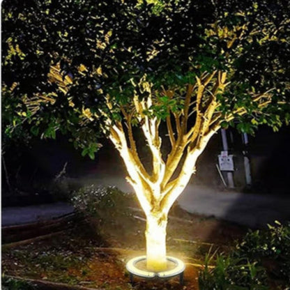 Evergreen Beam Outdoor LED Spotlight for Trees and Garden Lighting