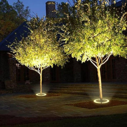 Evergreen Beam Outdoor LED Spotlight for Trees and Garden Lighting