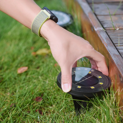 Solstice Outdoor Solar Garden Lights for Pathway and Patio Lighting